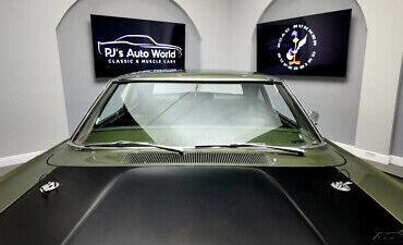 Plymouth-Road-Runner-1969-Green-Green-28315-11