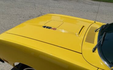 Plymouth-Road-Runner-1970-Yellow-Black-0-39