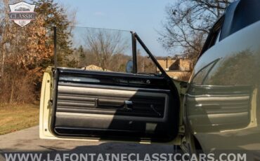 Plymouth-Road-Runner-Cabriolet-1970-Yellow-Black-88884-18