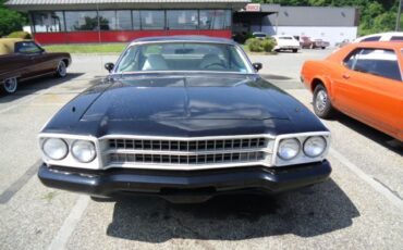 Plymouth-Road-Runner-Cabriolet-1974-Black-0-8