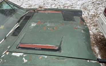 Plymouth-Road-Runner-Coupe-1969-Green-Black-125170-3