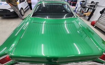 Plymouth-Road-Runner-Coupe-1969-Green-Black-16-4