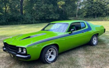 Plymouth-Roadrunner-1974-green-160932-12