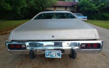 Plymouth-Satellite-1974-Silver-Blue-11050-3