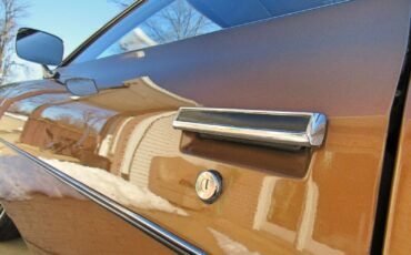 Pontiac-Catalina-Coupe-1972-Cinnamon-Bronze-Metallic-Dark-Saddle-38463-10