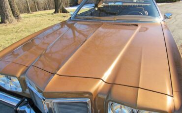 Pontiac-Catalina-Coupe-1972-Cinnamon-Bronze-Metallic-Dark-Saddle-38463-13