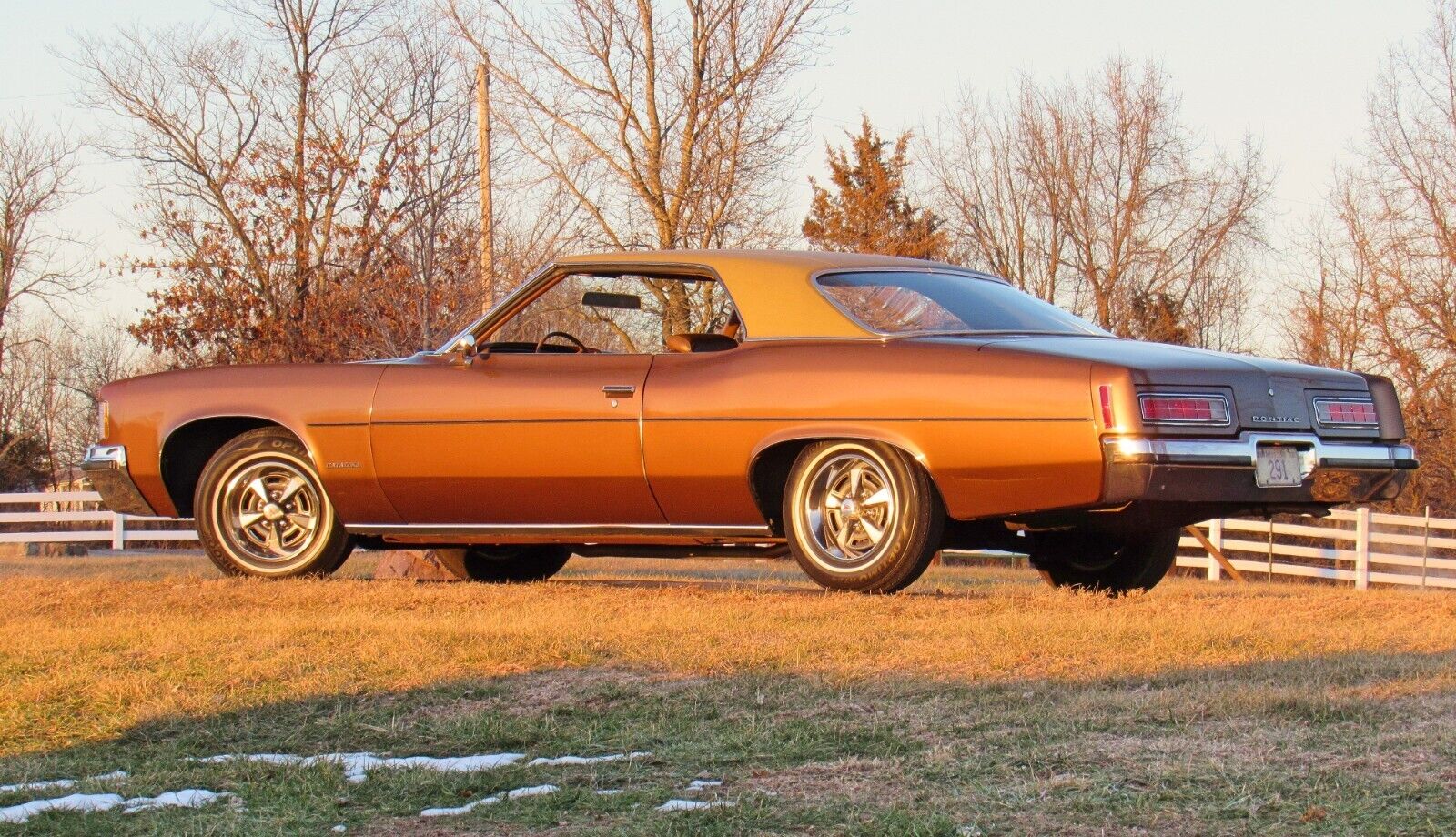 Pontiac-Catalina-Coupe-1972-Cinnamon-Bronze-Metallic-Dark-Saddle-38463-8