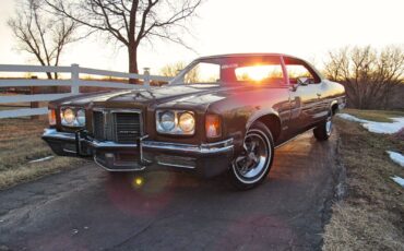 Pontiac-Catalina-Coupe-1972-Cinnamon-Bronze-Metallic-Dark-Saddle-38463-9