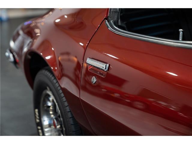 Pontiac-Firebird-1972-Red-Black-89312-16