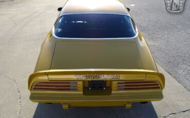 Pontiac-Firebird-1975-Gold-Black-32312-6