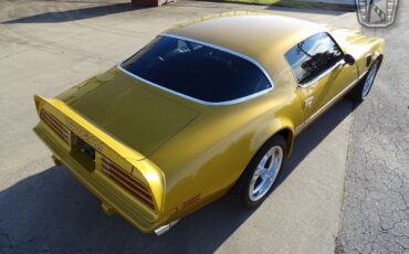 Pontiac-Firebird-1975-Gold-Black-32312-7