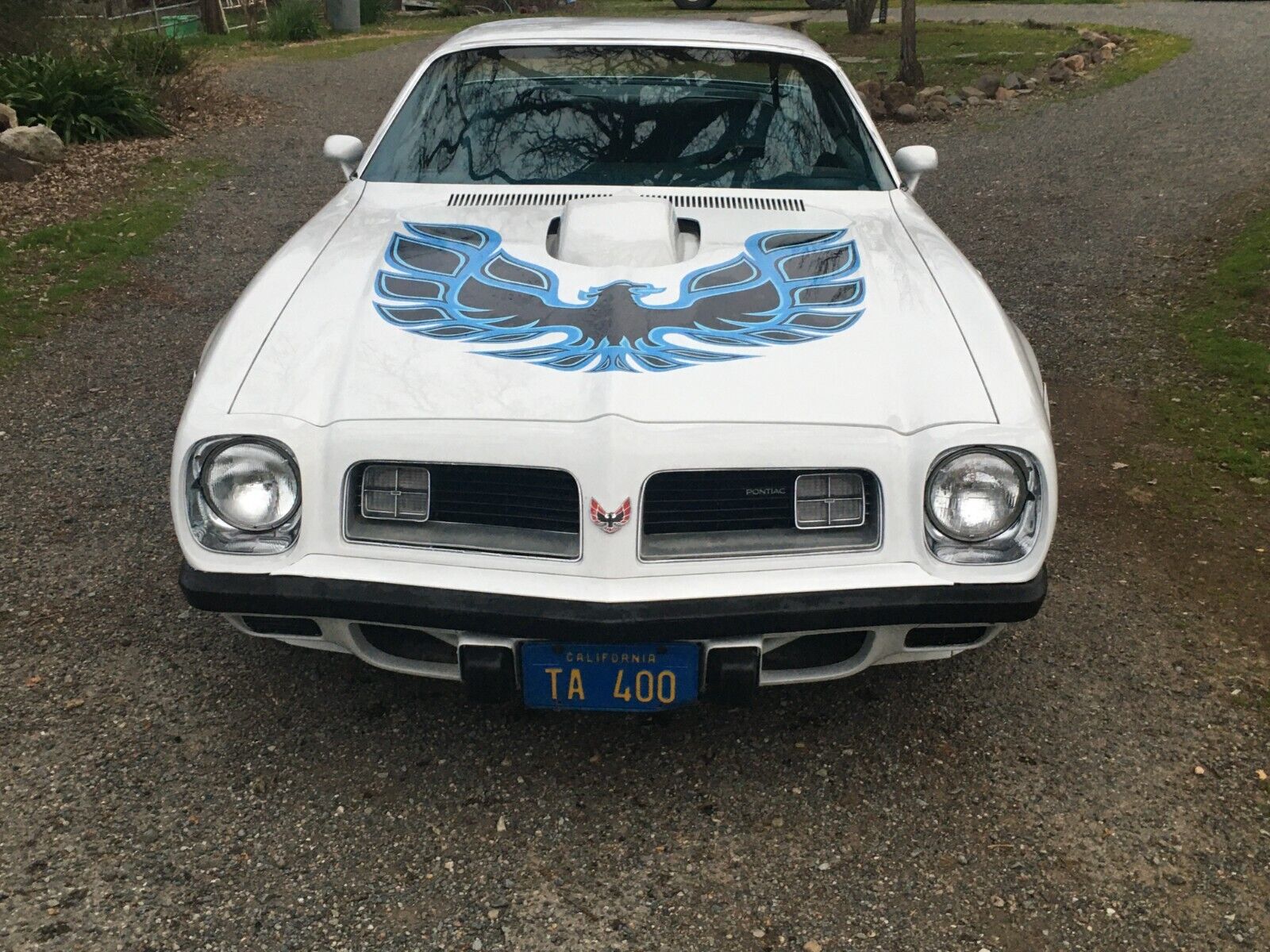 Pontiac-Firebird-1975-White-Blue-99999-1