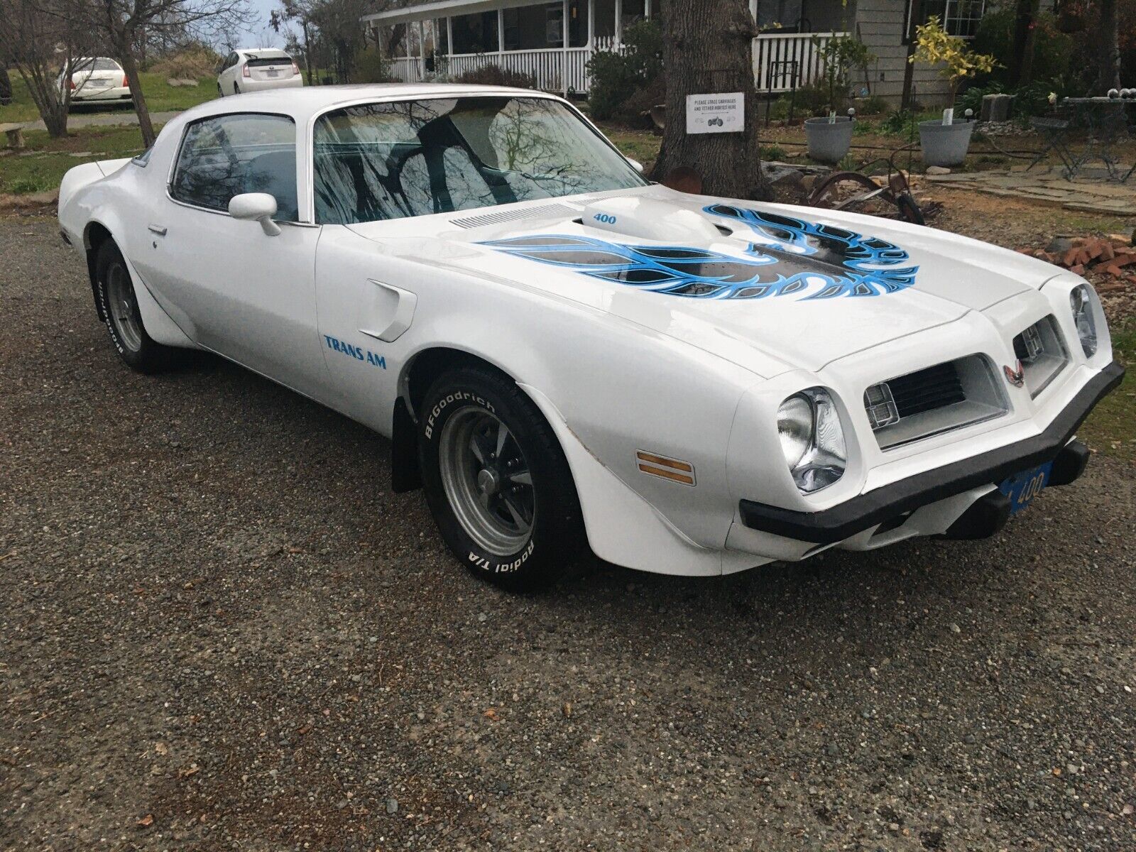 Pontiac-Firebird-1975-White-Blue-99999-2