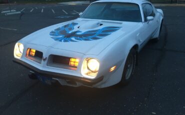 Pontiac-Firebird-1975-White-Blue-99999-33