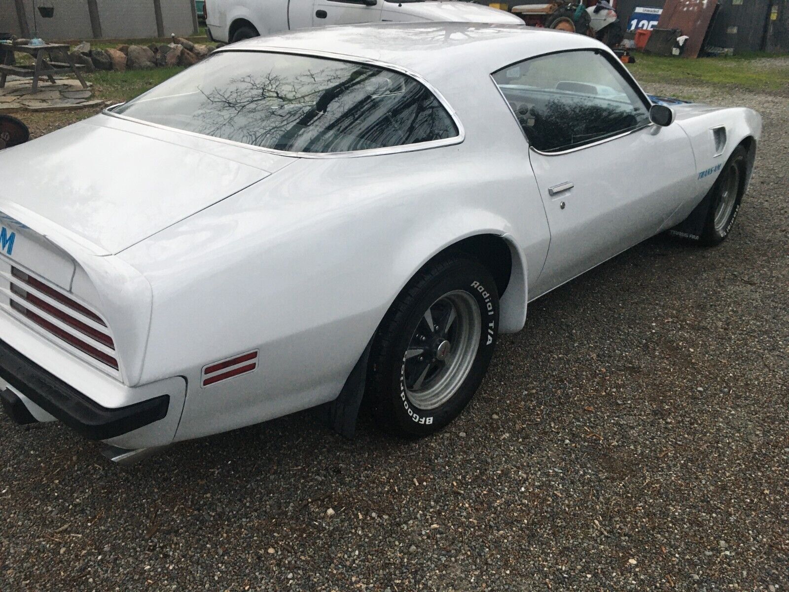 Pontiac-Firebird-1975-White-Blue-99999-4