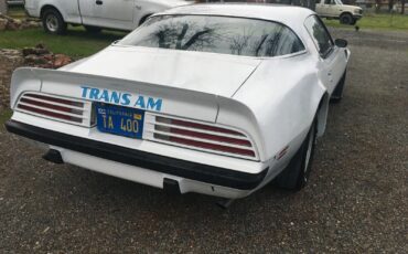 Pontiac-Firebird-1975-White-Blue-99999-5