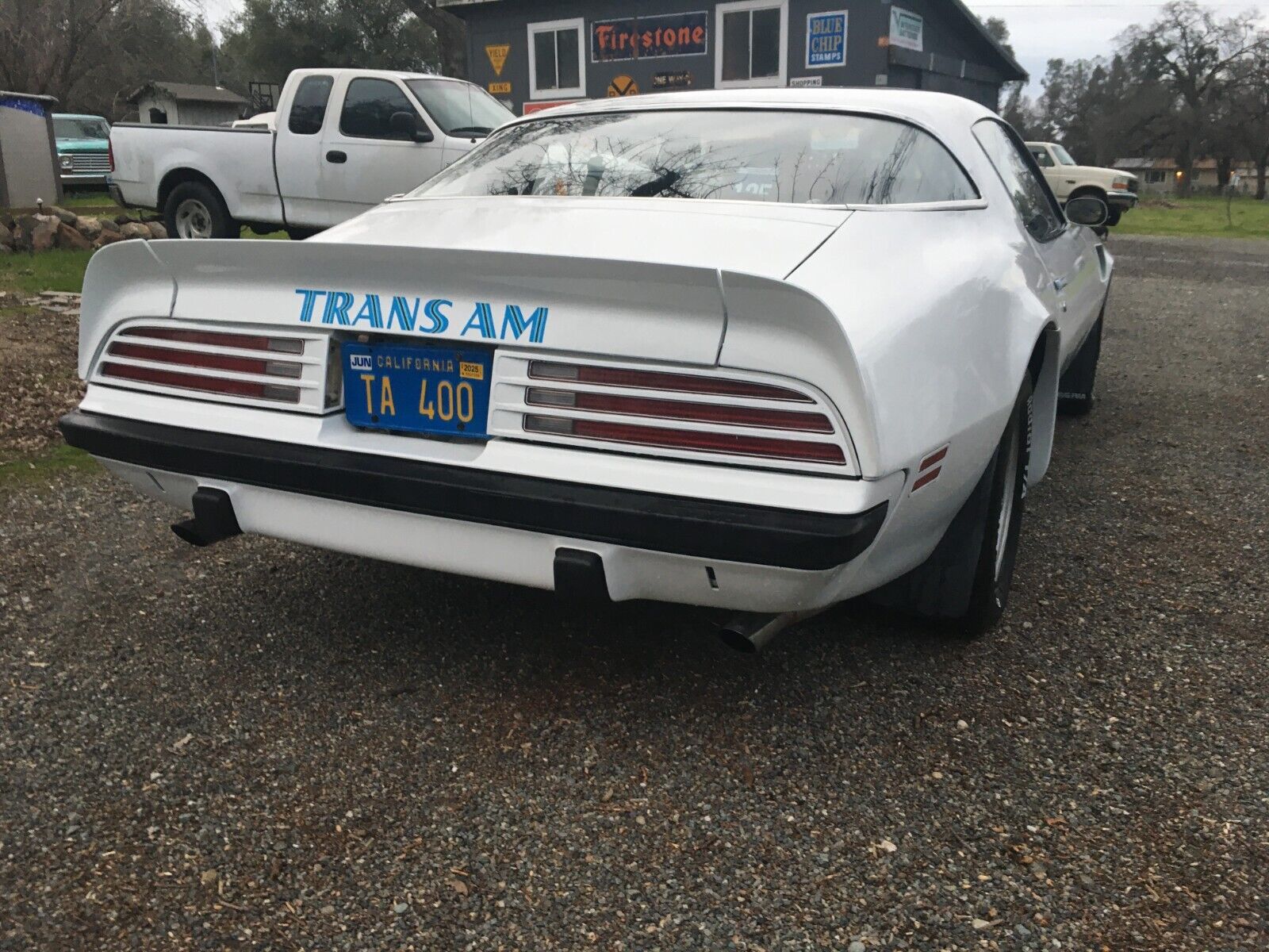 Pontiac-Firebird-1975-White-Blue-99999-6