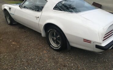 Pontiac-Firebird-1975-White-Blue-99999-7