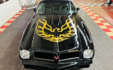 Pontiac-Firebird-1976-Black-Black-87280-4