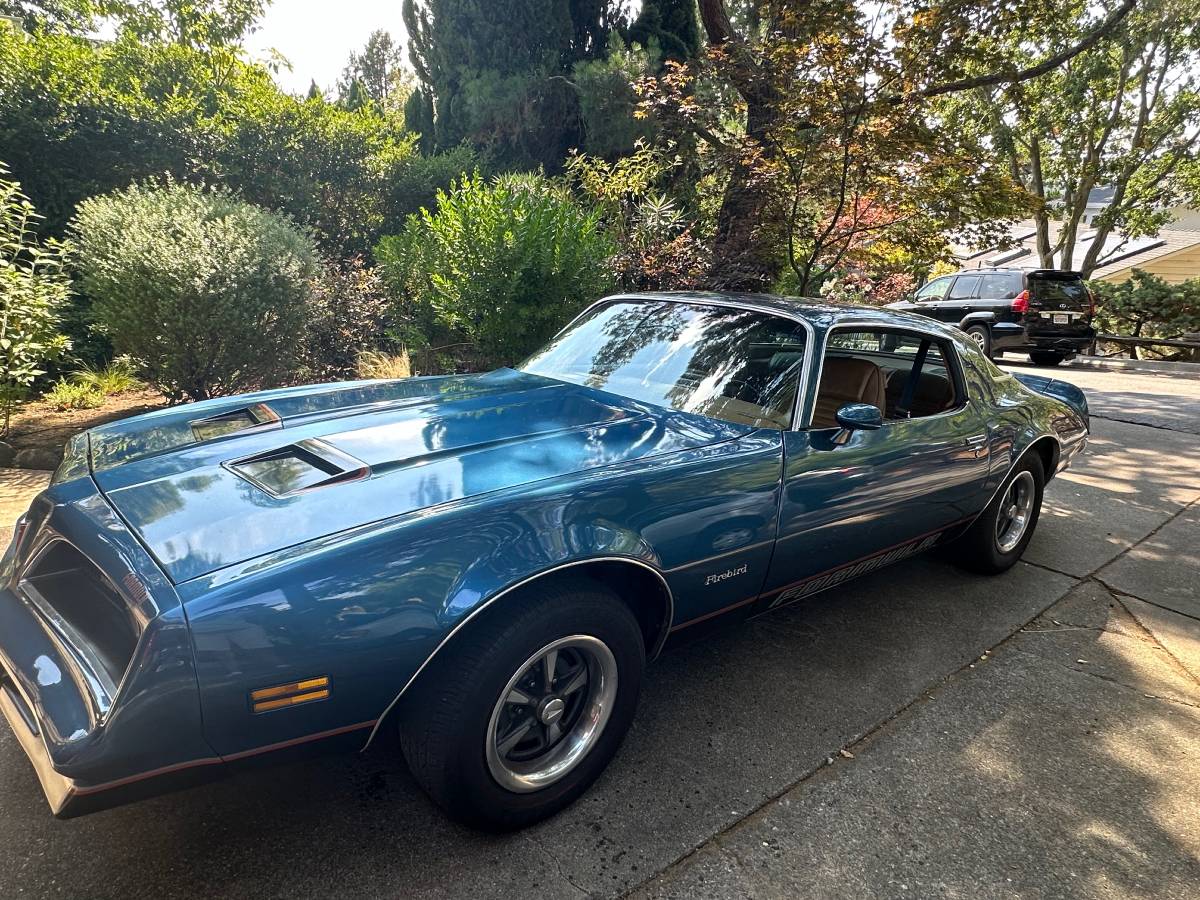 Pontiac-Firebird-1978-165762-2