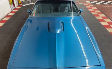 Pontiac-Firebird-1979-Blue-Blue-40386-17