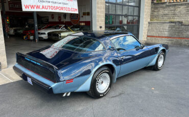 Pontiac-Firebird-1980-Blue-Blue-45062-7