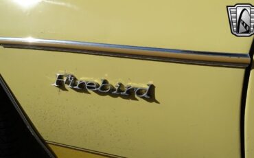 Pontiac-Firebird-1980-Yellow-Tan-129898-3