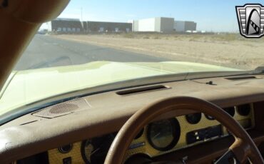 Pontiac-Firebird-1980-Yellow-Tan-129898-6