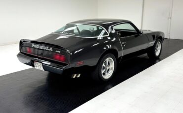 Pontiac-Firebird-1981-Black-Black-28312-4