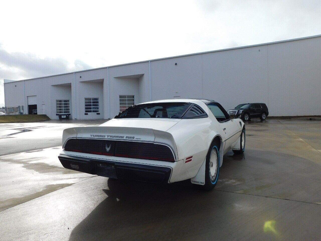 Pontiac-Firebird-1981-White-Red-92413-10