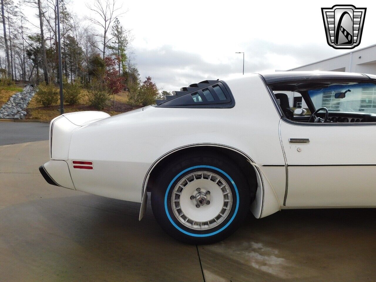 Pontiac-Firebird-1981-White-Red-92413-11