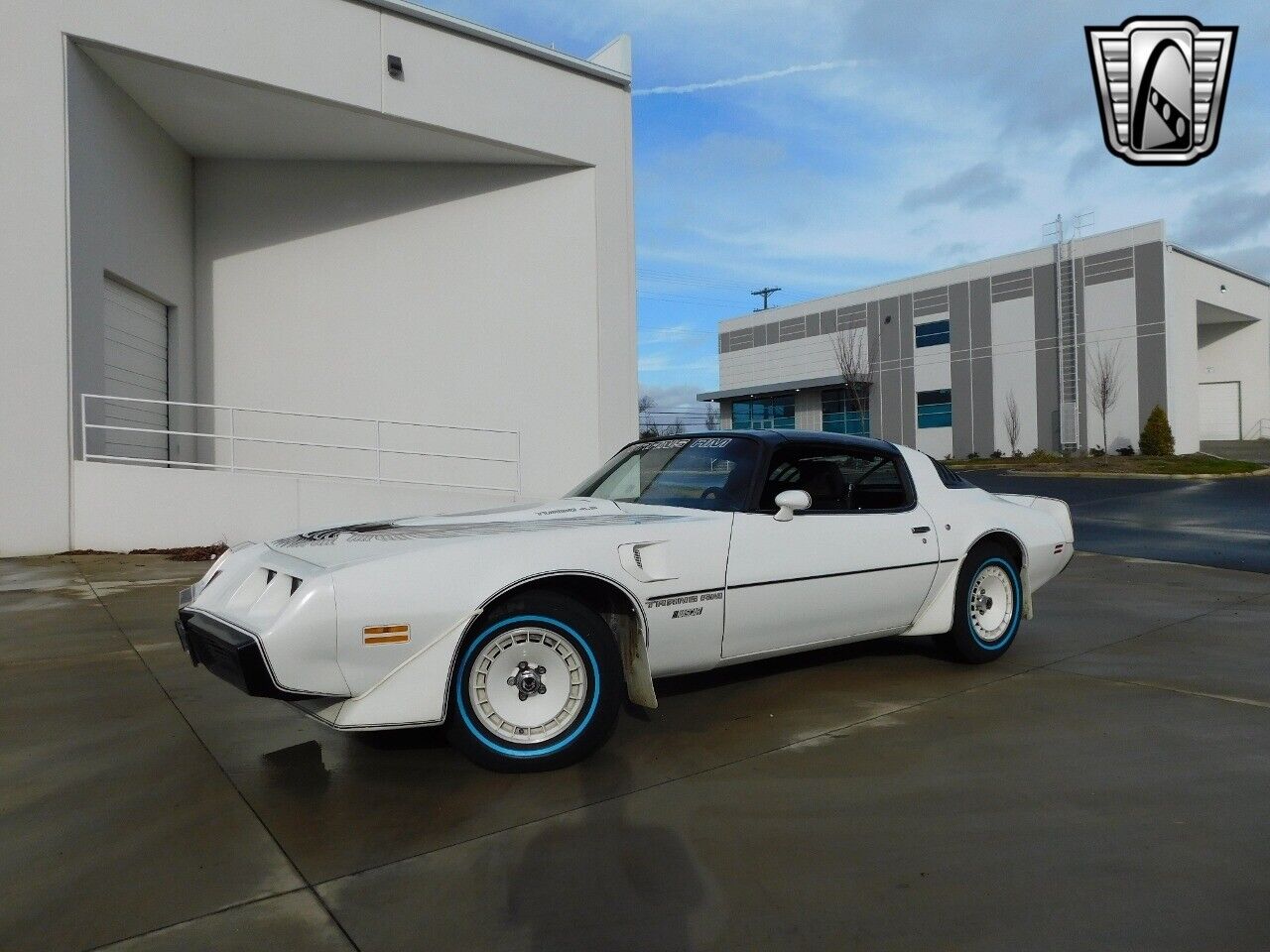 Pontiac-Firebird-1981-White-Red-92413-2