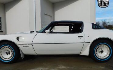 Pontiac-Firebird-1981-White-Red-92413-6