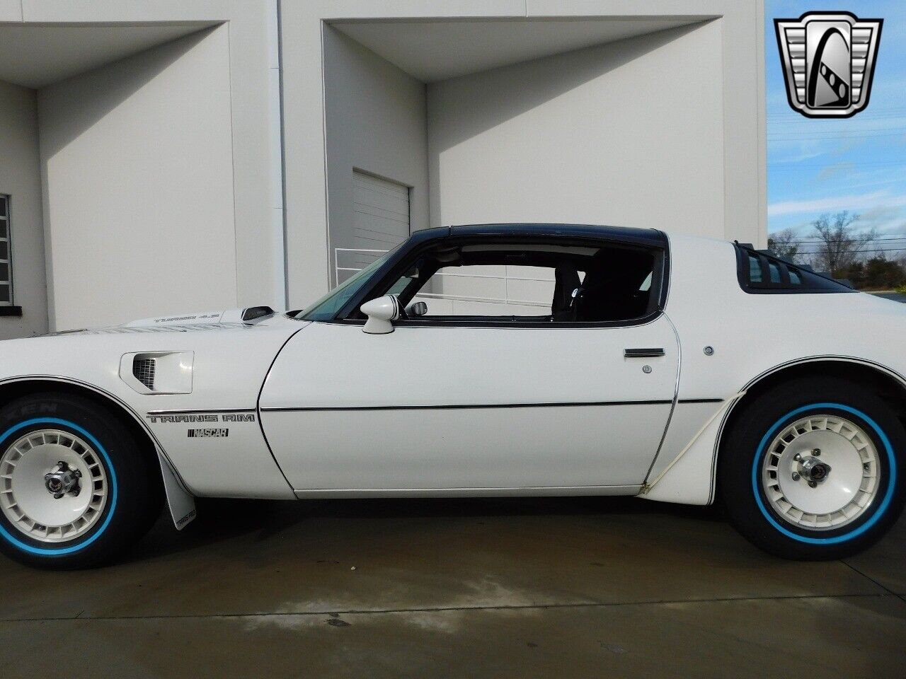 Pontiac-Firebird-1981-White-Red-92413-6