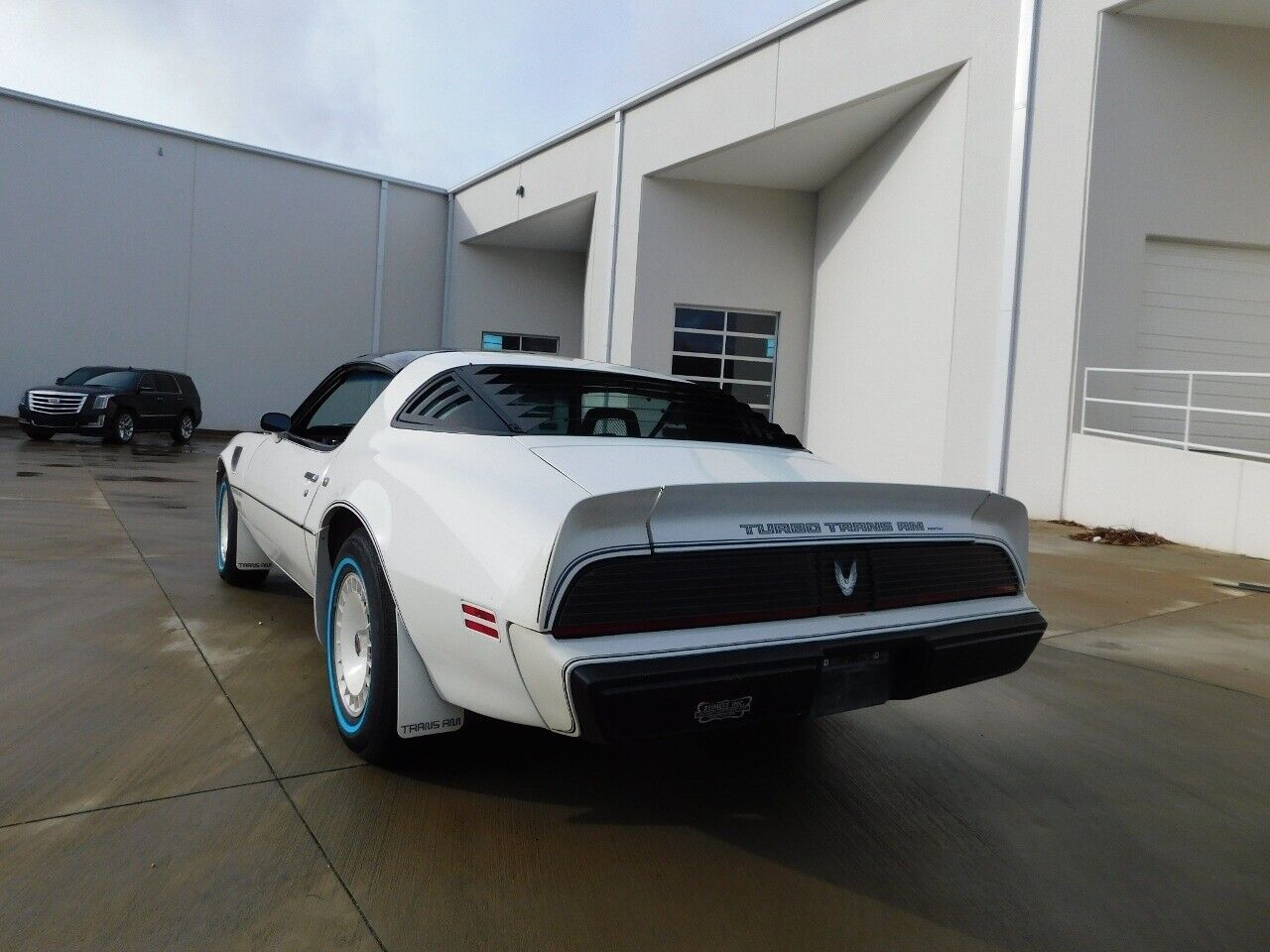 Pontiac-Firebird-1981-White-Red-92413-8