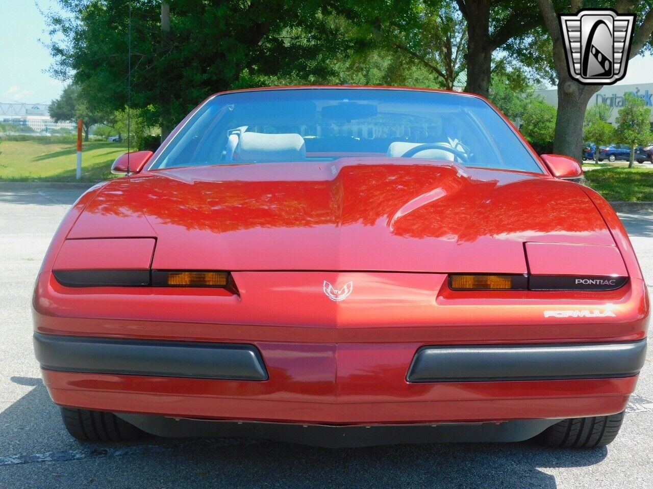 Pontiac-Firebird-1989-Red-Gray-79268-2