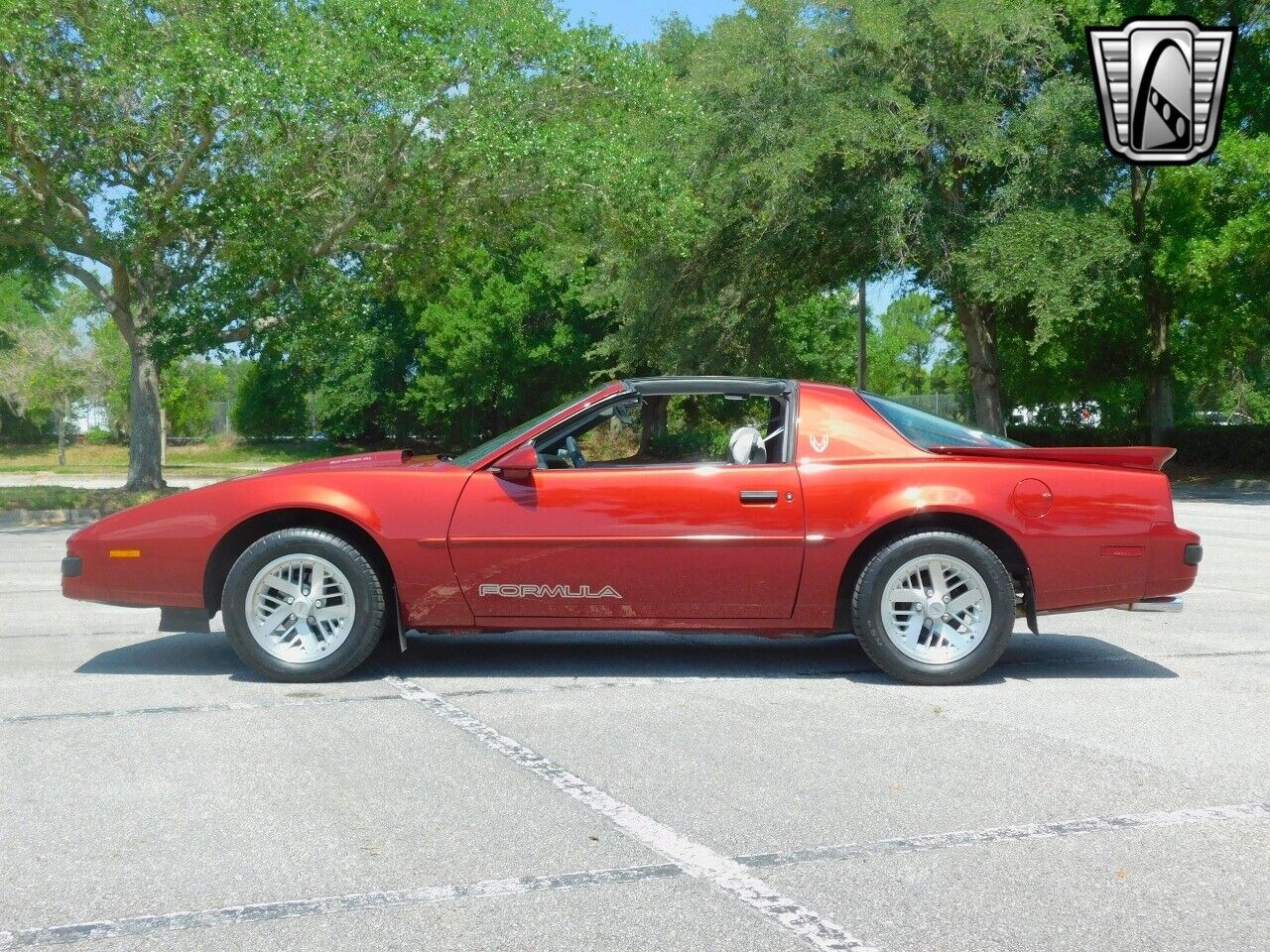 Pontiac-Firebird-1989-Red-Gray-79268-4