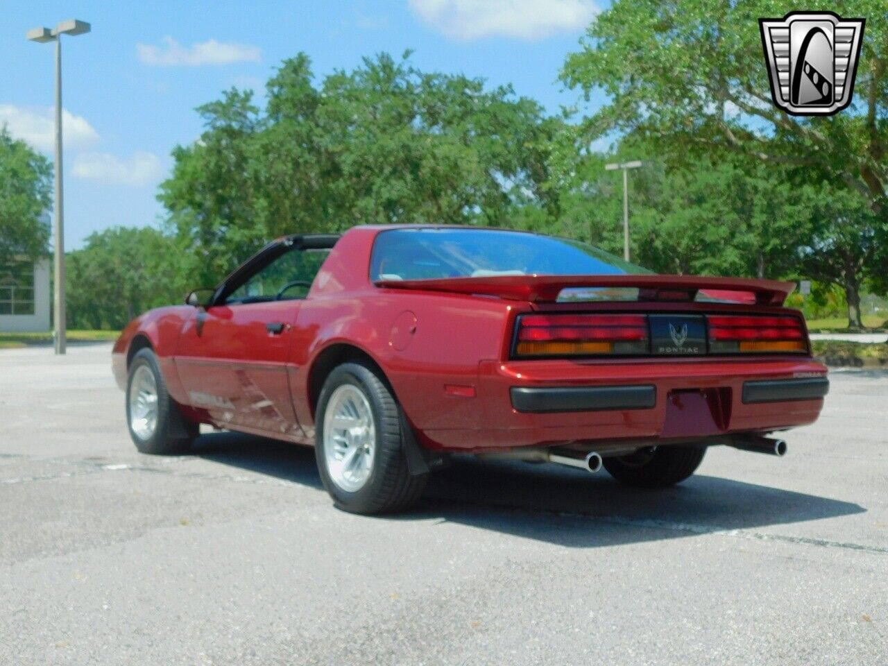 Pontiac-Firebird-1989-Red-Gray-79268-5