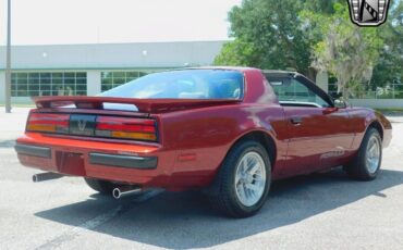 Pontiac-Firebird-1989-Red-Gray-79268-7