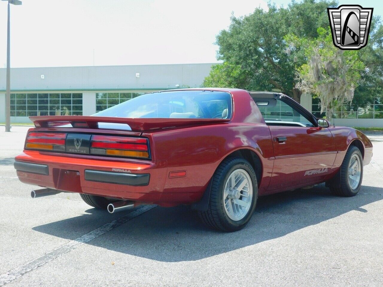 Pontiac-Firebird-1989-Red-Gray-79268-7