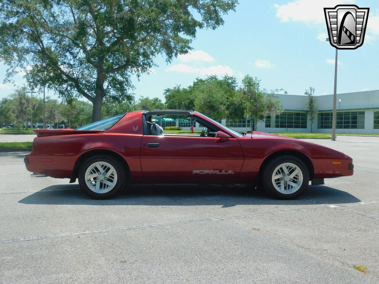 Pontiac-Firebird-1989-Red-Gray-79268-8