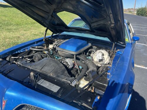 Pontiac-Firebird-Berline-1978-Blue-Blue-77989-18