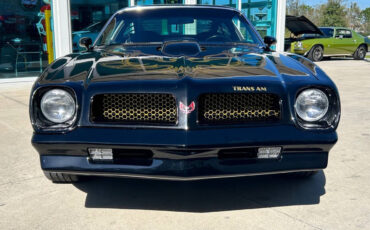 Pontiac-Firebird-Cabriolet-1976-Black-Black-16610-1