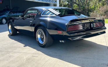 Pontiac-Firebird-Cabriolet-1976-Black-Black-16610-9