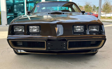 Pontiac-Firebird-Cabriolet-1979-Black-Black-82736-1