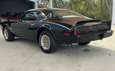 Pontiac-Firebird-Cabriolet-1979-Black-Black-82736-6