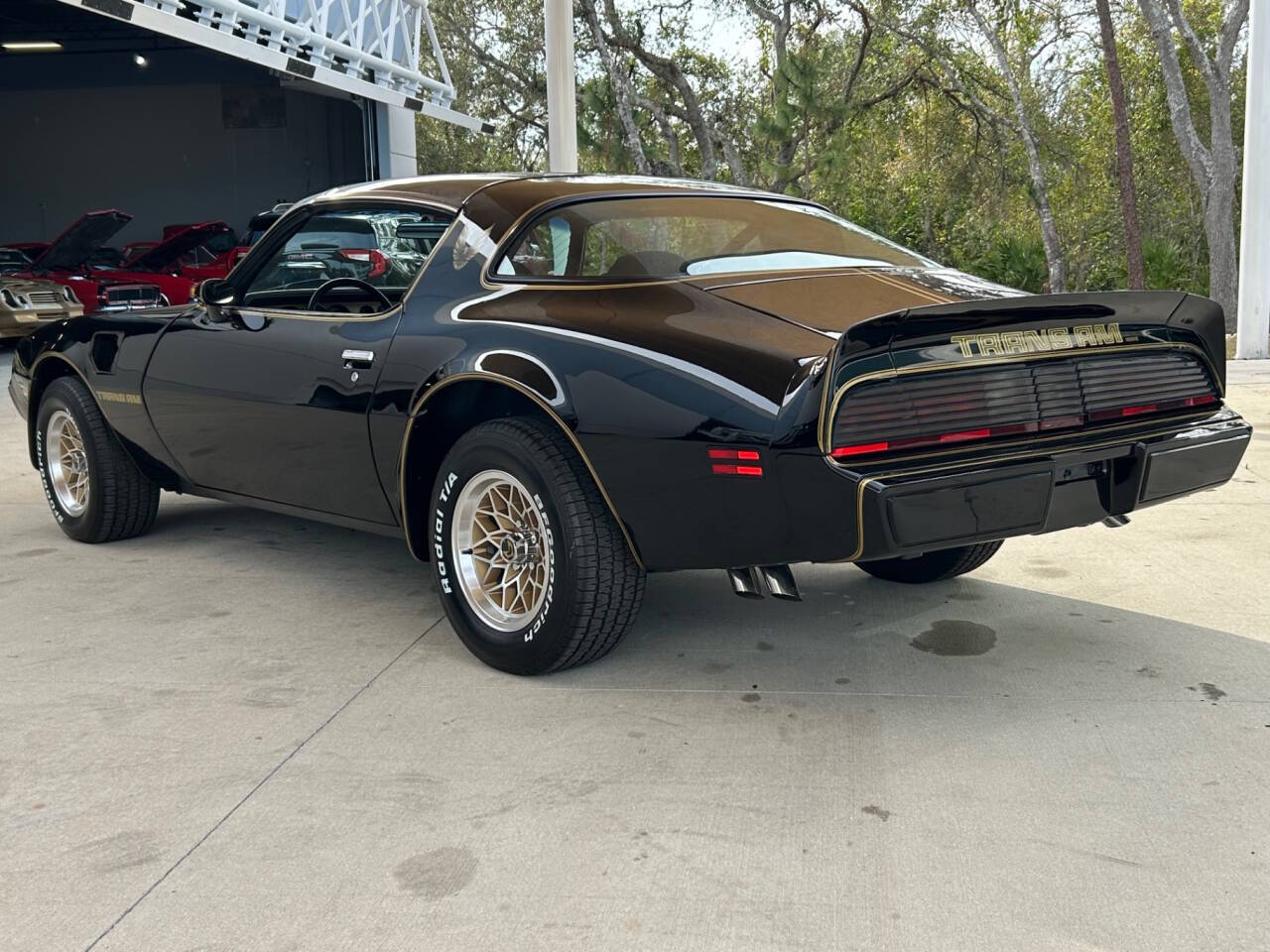 Pontiac-Firebird-Cabriolet-1979-Black-Black-82736-6