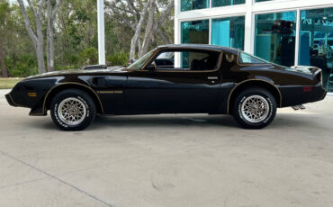 Pontiac-Firebird-Cabriolet-1979-Black-Black-82736-7