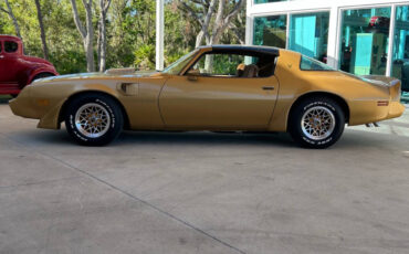 Pontiac-Firebird-Cabriolet-1979-Gold-Tan-153945-10