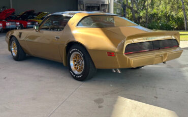 Pontiac-Firebird-Cabriolet-1979-Gold-Tan-153945-9